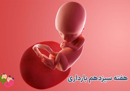 هفته سیزدهم بارداری