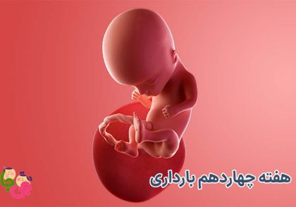 هفته چهاردهم بارداری
