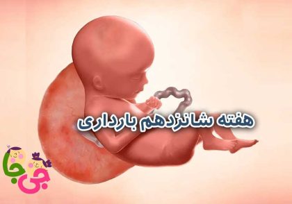 هفته 16 بارداری