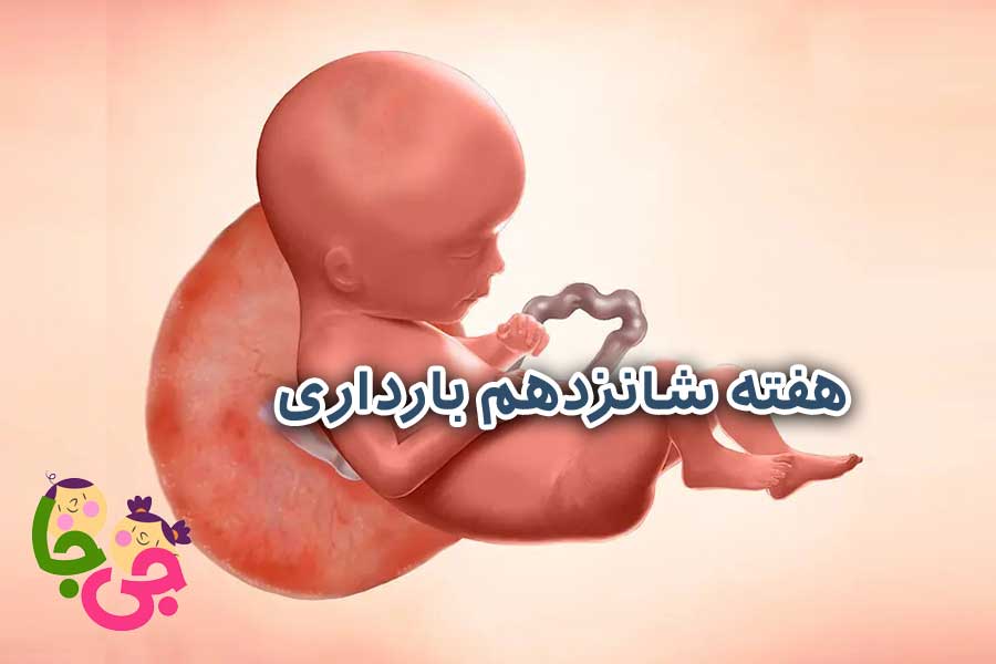 هفته 16 بارداری